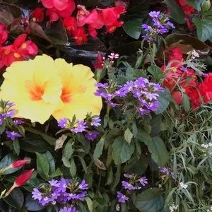 Meet your Posher, Sandi